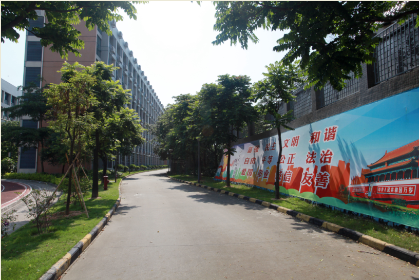 心华校区校道